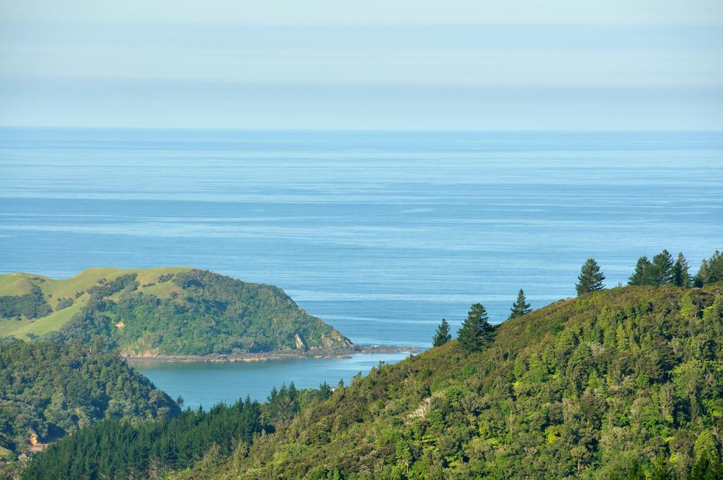 Hopewell B&B Helena Bay 외부 사진